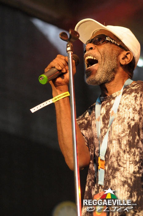 The Viceroys @ Reggae Jam 2014