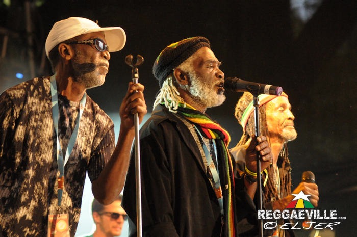 The Viceroys @ Reggae Jam 2014
