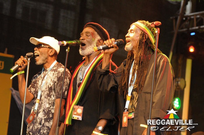 The Viceroys @ Reggae Jam 2014
