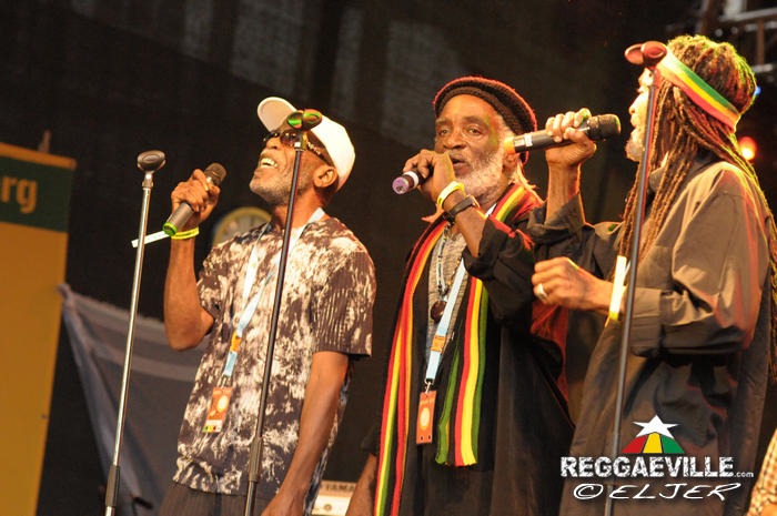 The Viceroys @ Reggae Jam 2014