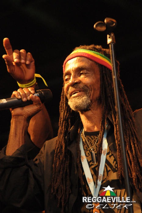 The Viceroys @ Reggae Jam 2014