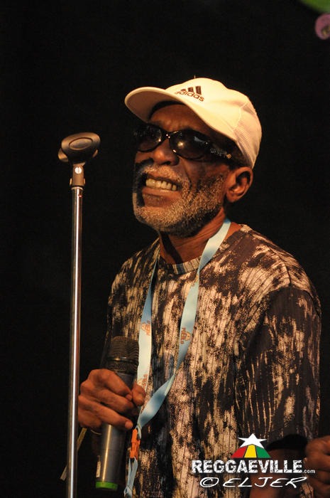 The Viceroys @ Reggae Jam 2014