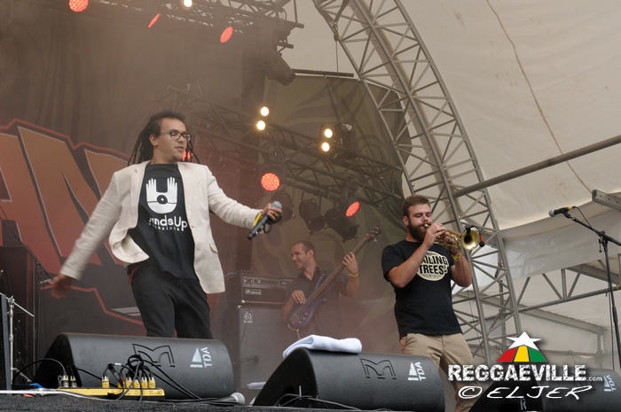 Wailing Trees @ SummerJam 2014