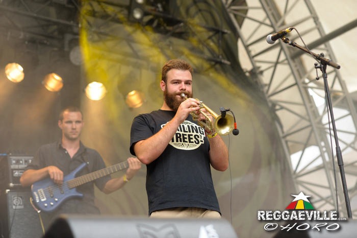 Wailing Trees @ SummerJam 2014