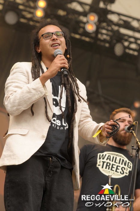 Wailing Trees @ SummerJam 2014