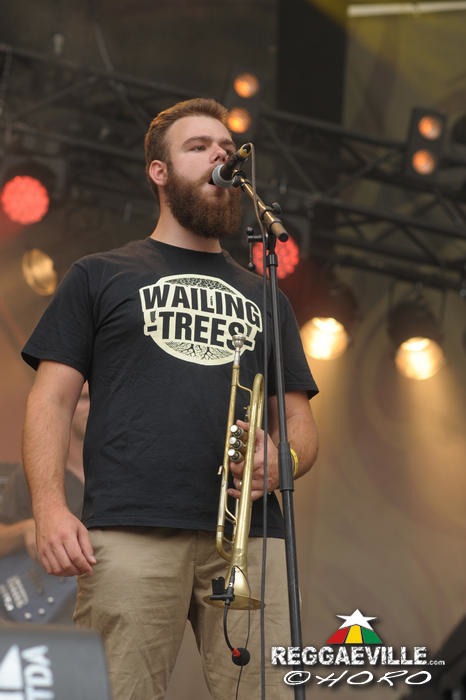 Wailing Trees @ SummerJam 2014