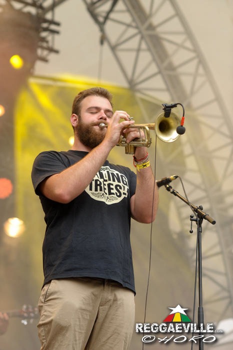 Wailing Trees @ SummerJam 2014