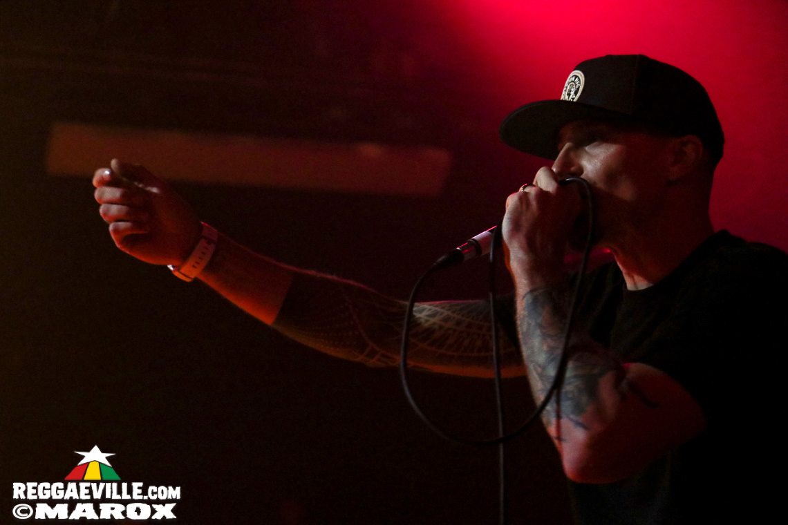 Deebuzz vs. Ruffpack