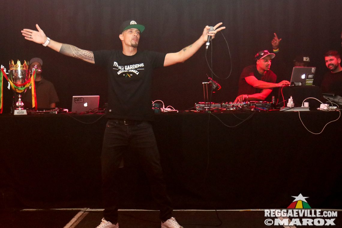 Deebuzz vs. Ruffpack