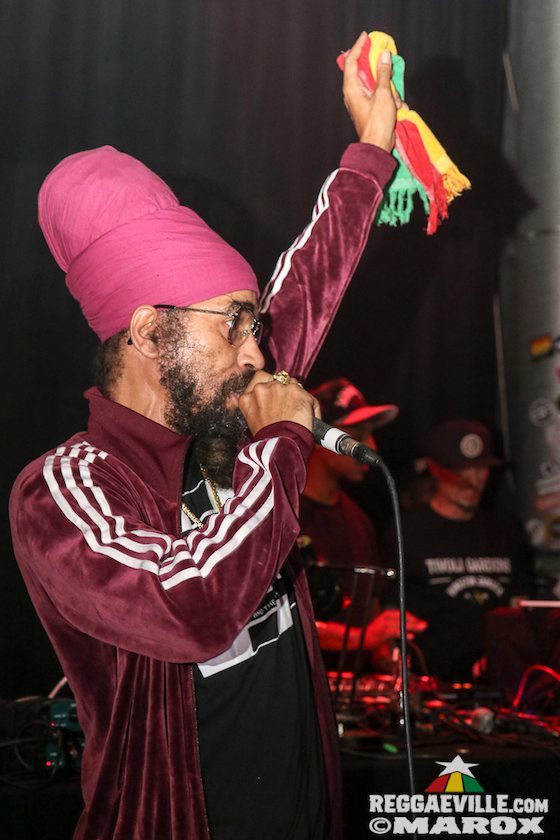 Deebuzz vs. Ruffpack