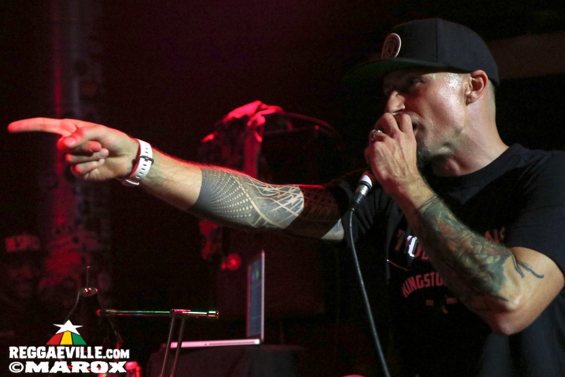 Deebuzz vs. Ruffpack