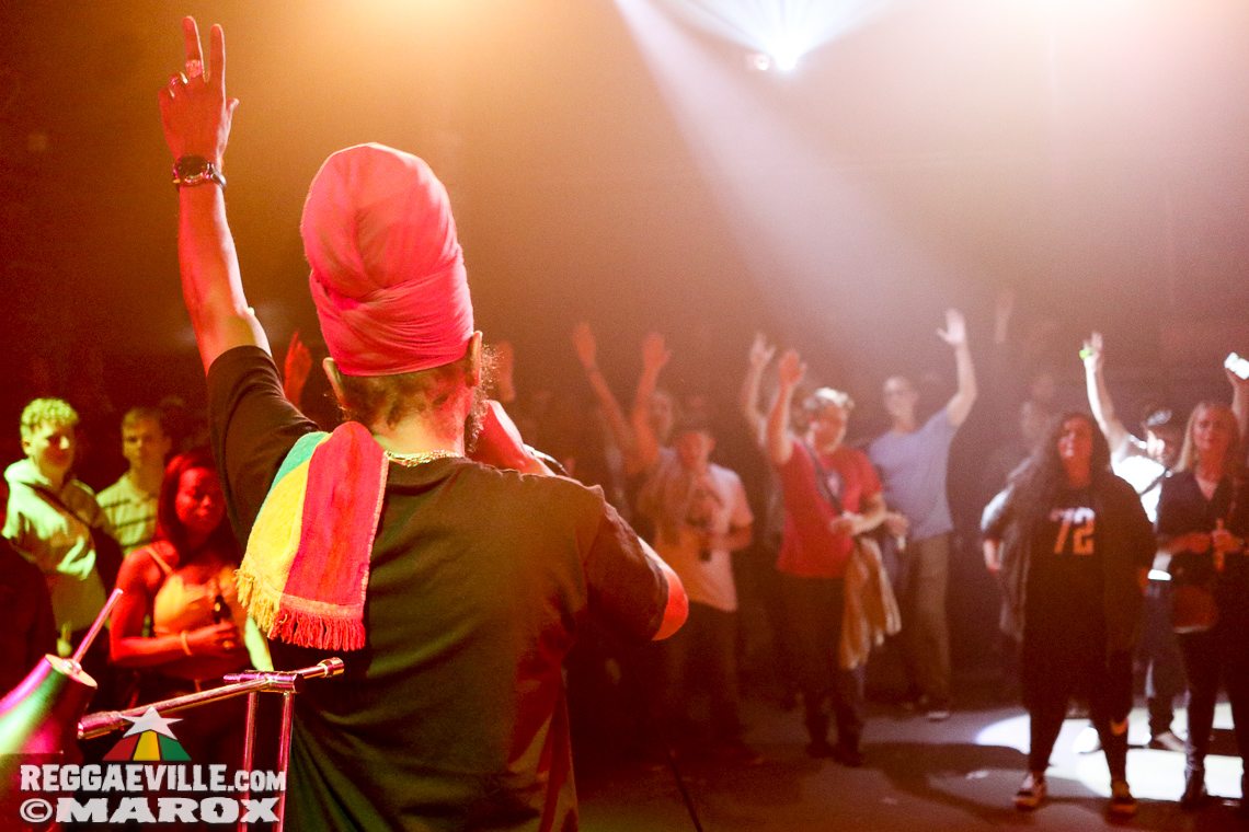 Deebuzz vs. Ruffpack