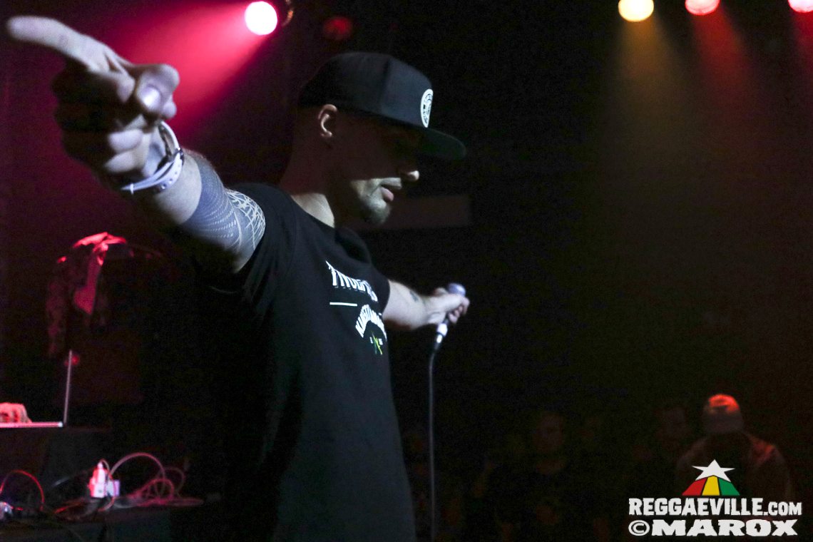 Deebuzz vs. Ruffpack