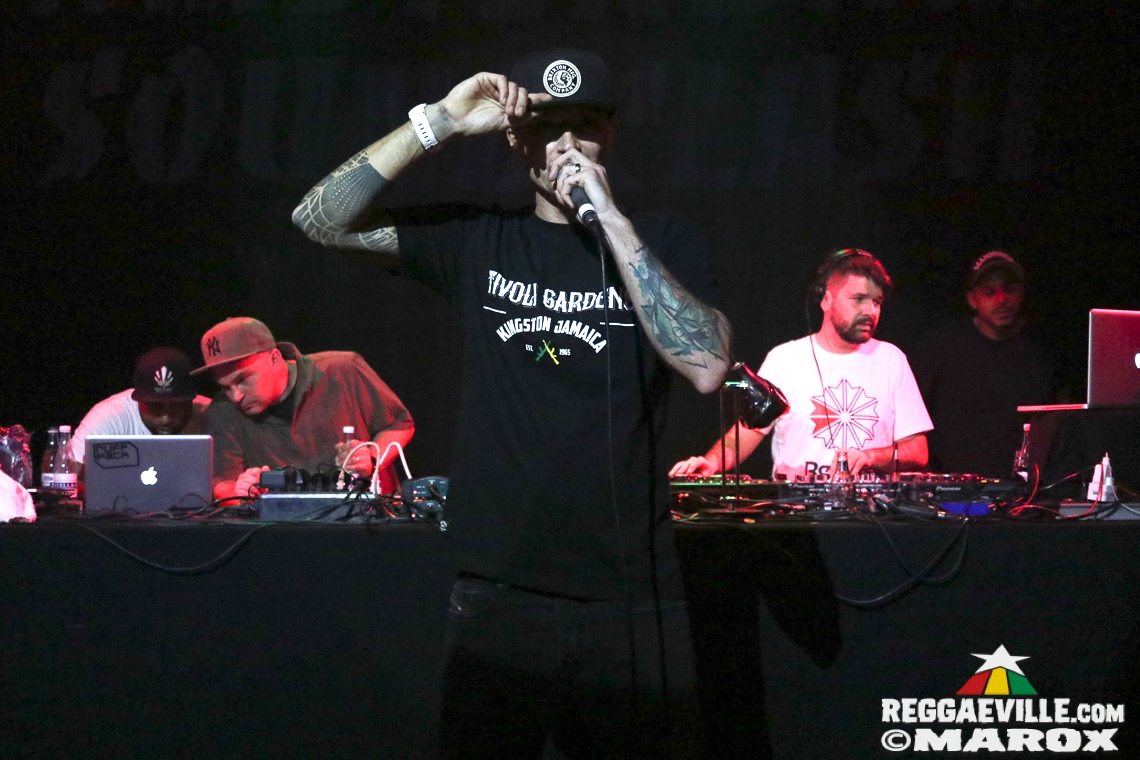 Deebuzz vs. Ruffpack