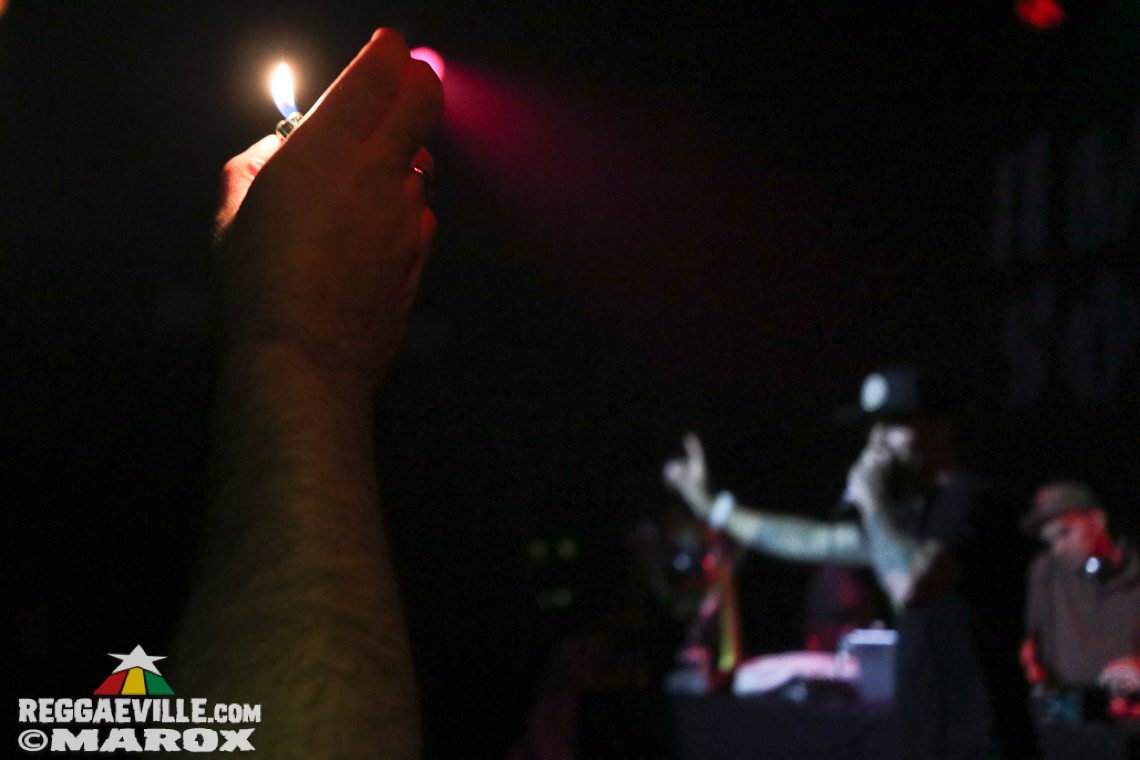 Deebuzz vs. Ruffpack