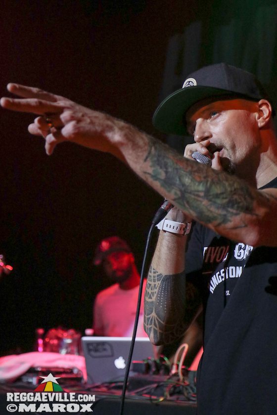 Deebuzz vs. Ruffpack