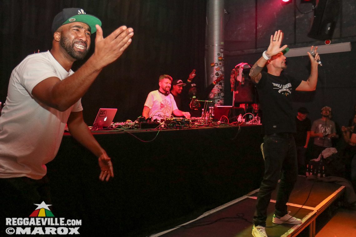 Deebuzz vs. Ruffpack