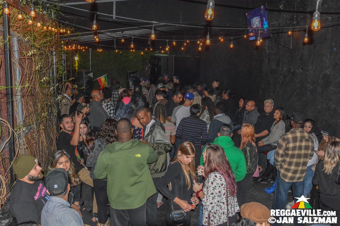 Arise Roots & The Expanders