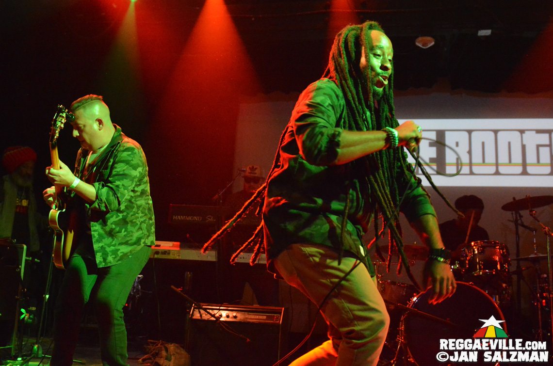 Arise Roots & The Expanders