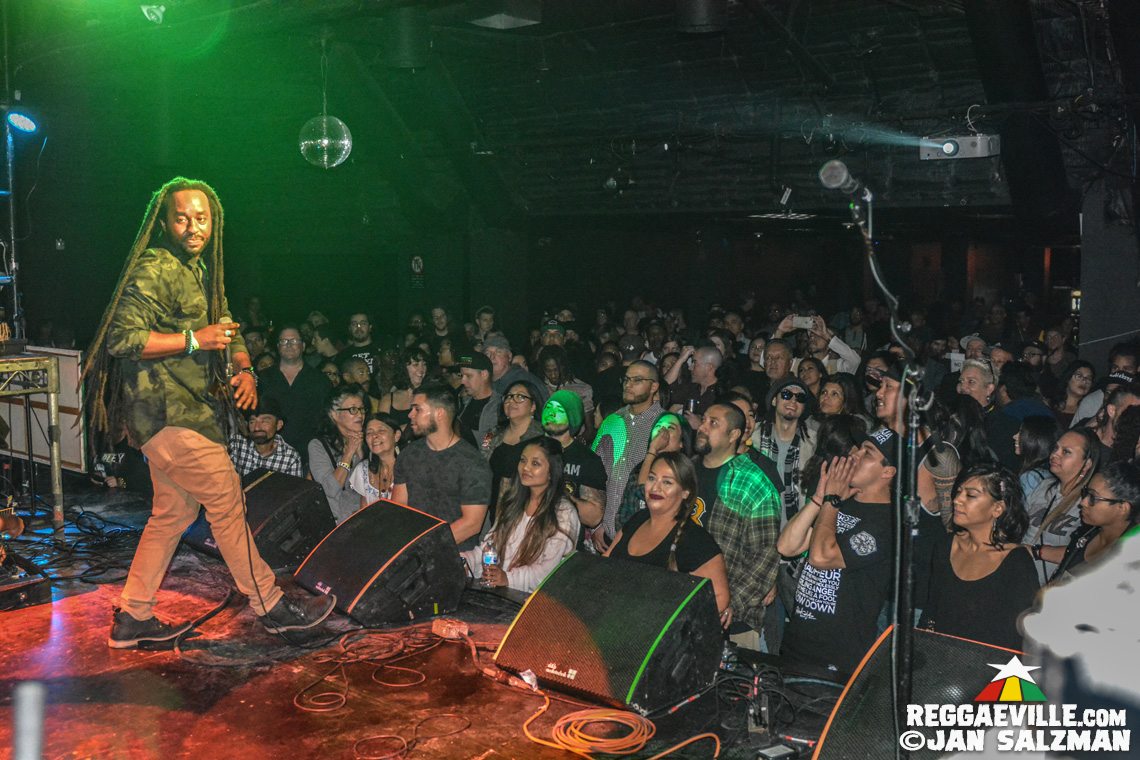 Arise Roots & The Expanders