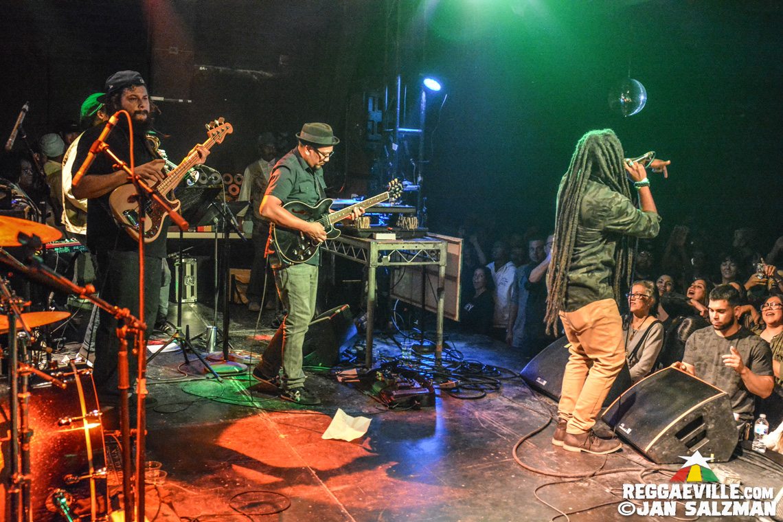 Arise Roots & The Expanders