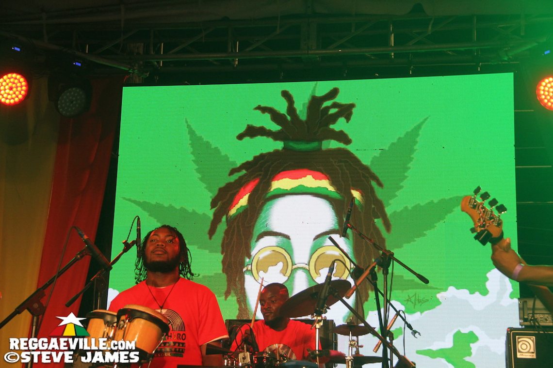 Reggae Jam Session - Bob Marley's Birthday Celebration in Kingston, Jamaica