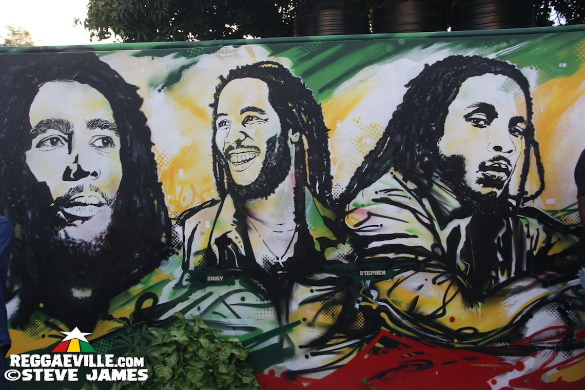Vibes @ Bob Marley's 72nd Birthday Celebration in Kingston, Jamaica