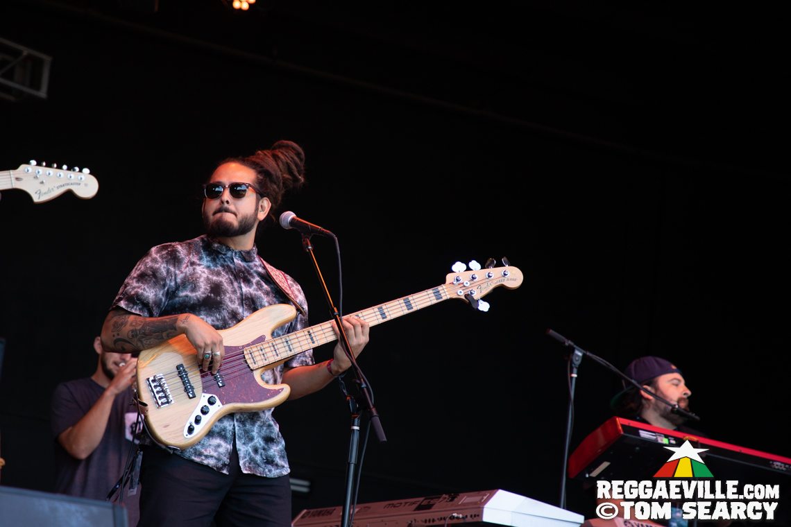 New Kingston, Mike Love, Tribal Seeds, The Original Wailers
