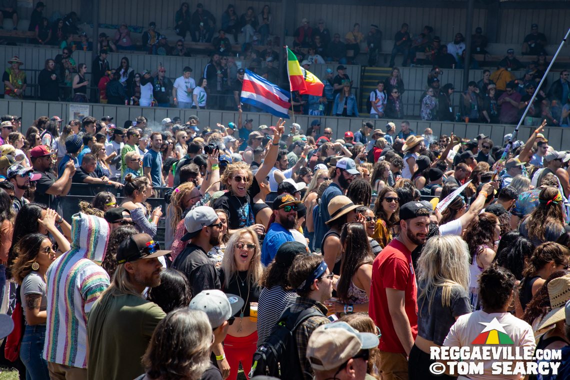 New Kingston, Mike Love, Tribal Seeds, The Original Wailers