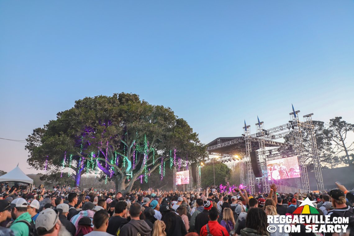 New Kingston, Mike Love, Tribal Seeds, The Original Wailers