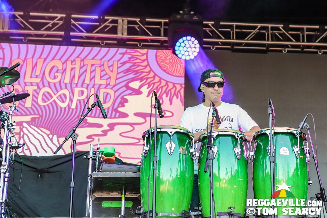 The Green, Slightly Stoopid feat. Don Carlos & Alborosie
