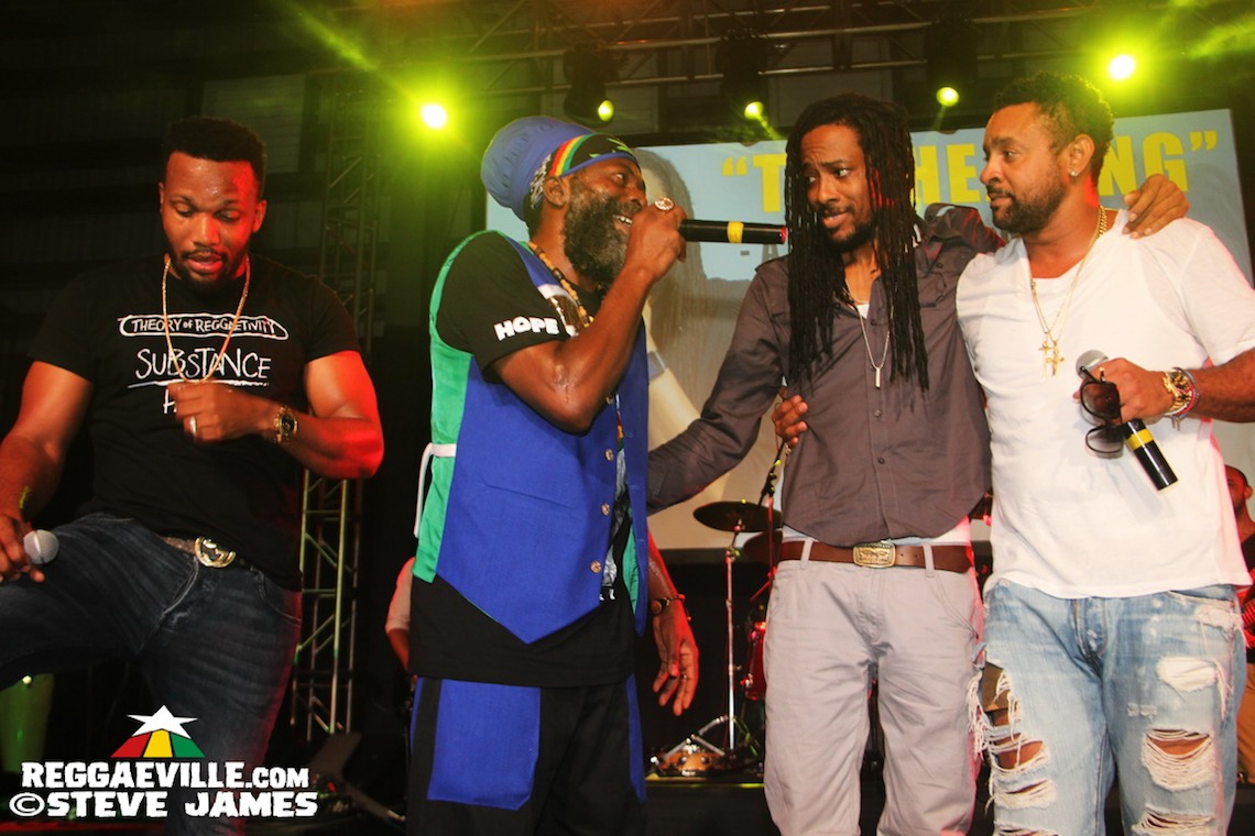 Shaggy, Capleton, Ky-Mani Marley, Alaine @ The Healing 2017