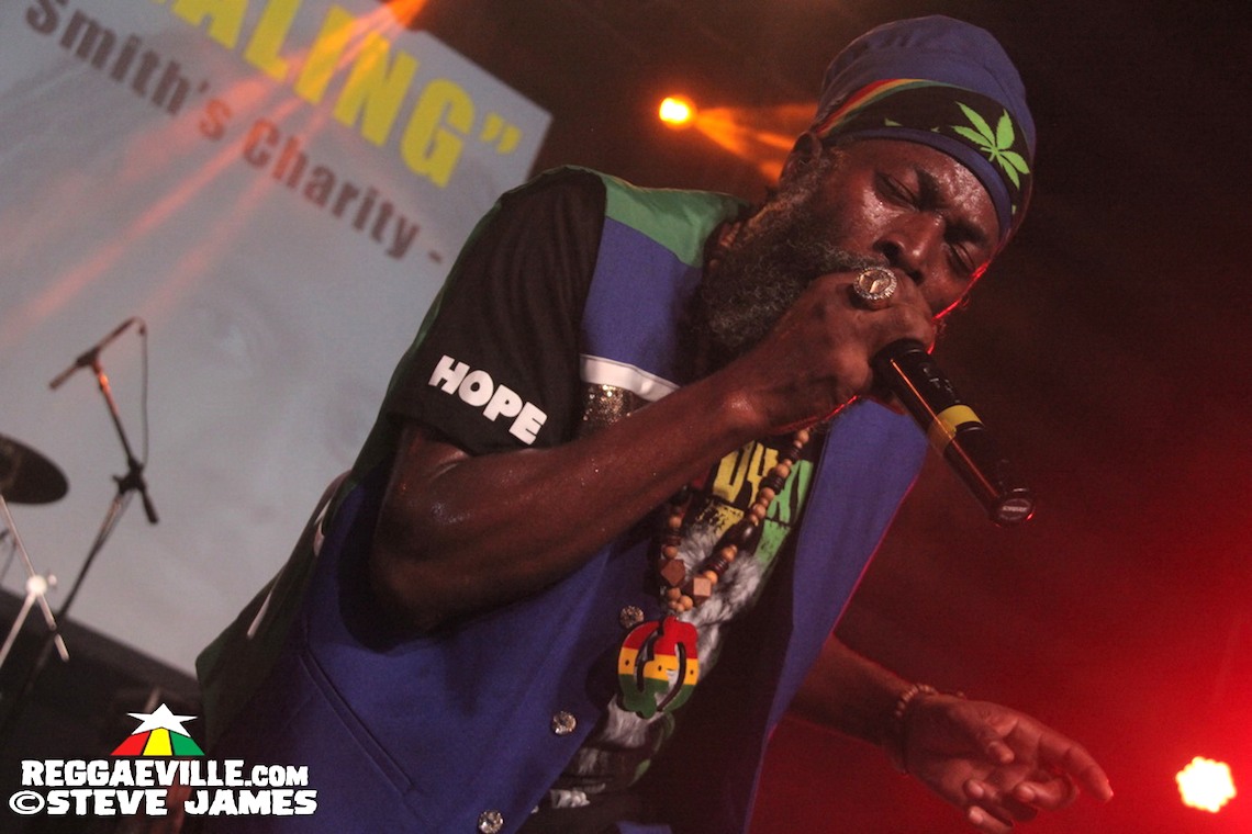 Shaggy, Capleton, Ky-Mani Marley, Alaine @ The Healing 2017