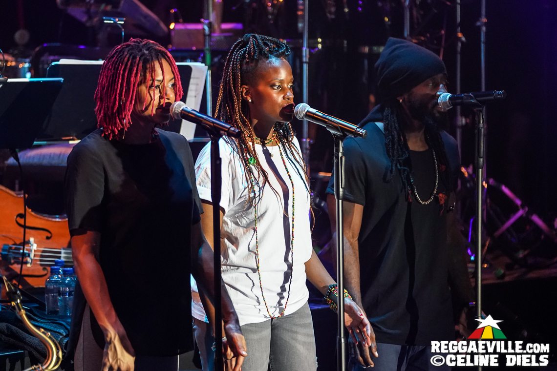 Gentleman - MTV Unplugged feat. Claye, Daddy Rings & Martin Jondo