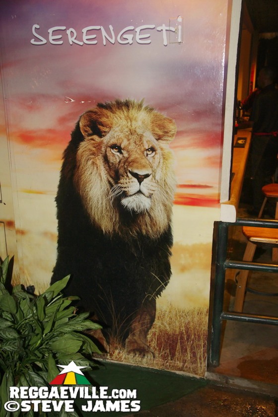 Jesse Royal - Lily Of Da Valley Album Launch in Kingston, Jamaica