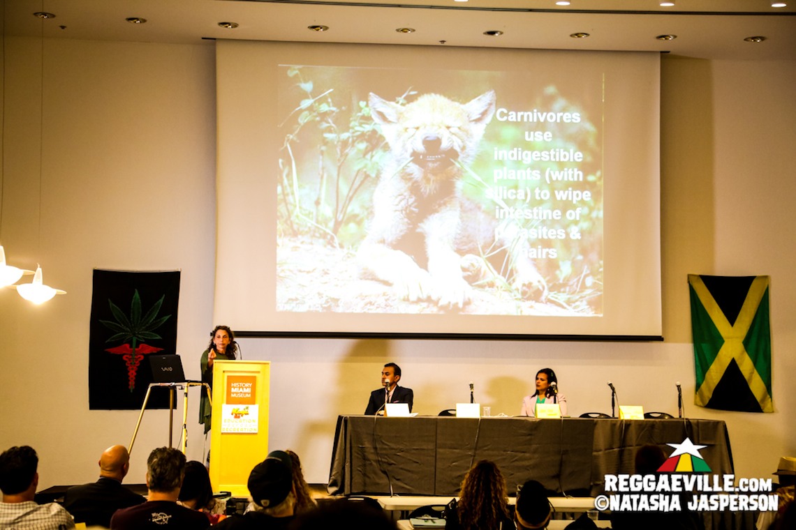 Kaya Fest 2017 Symposium - Education Before Recreation in Miami, FL
