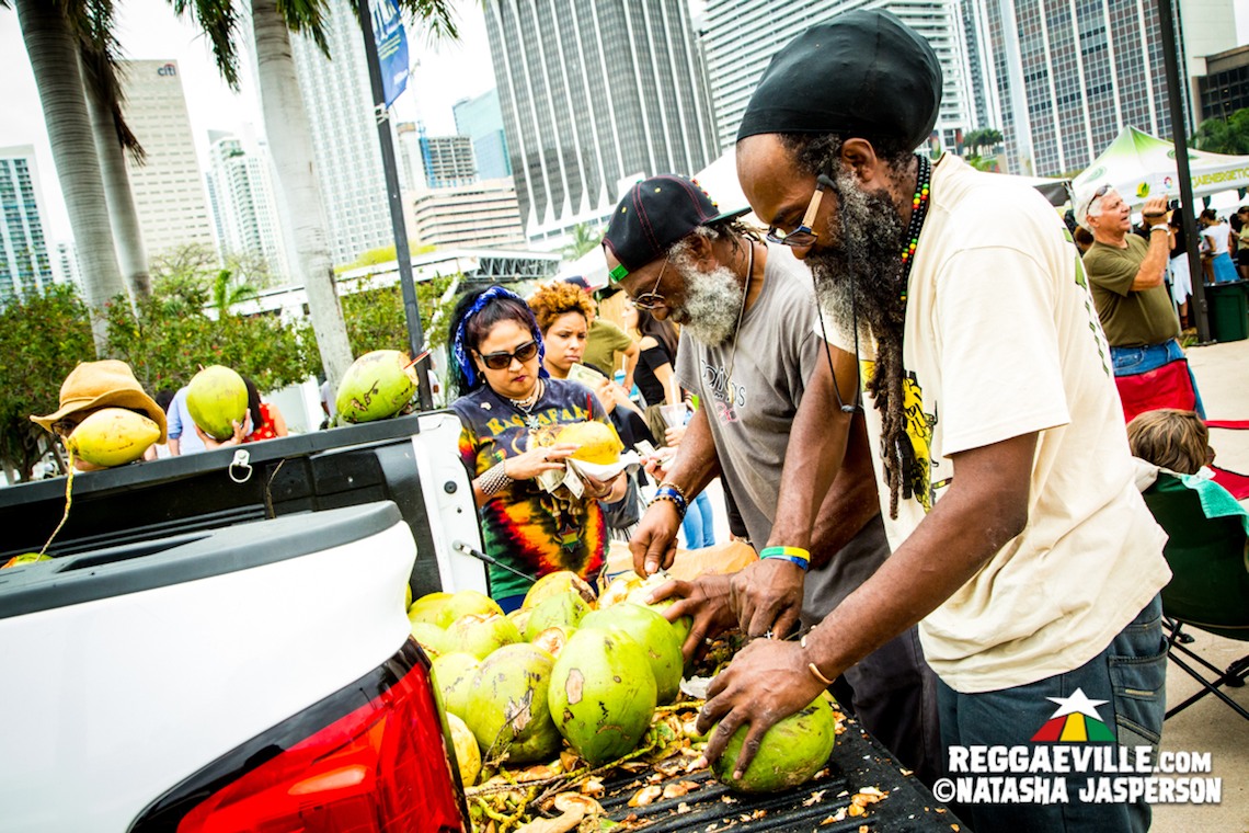 Vibes @ Kaya Fest 2017