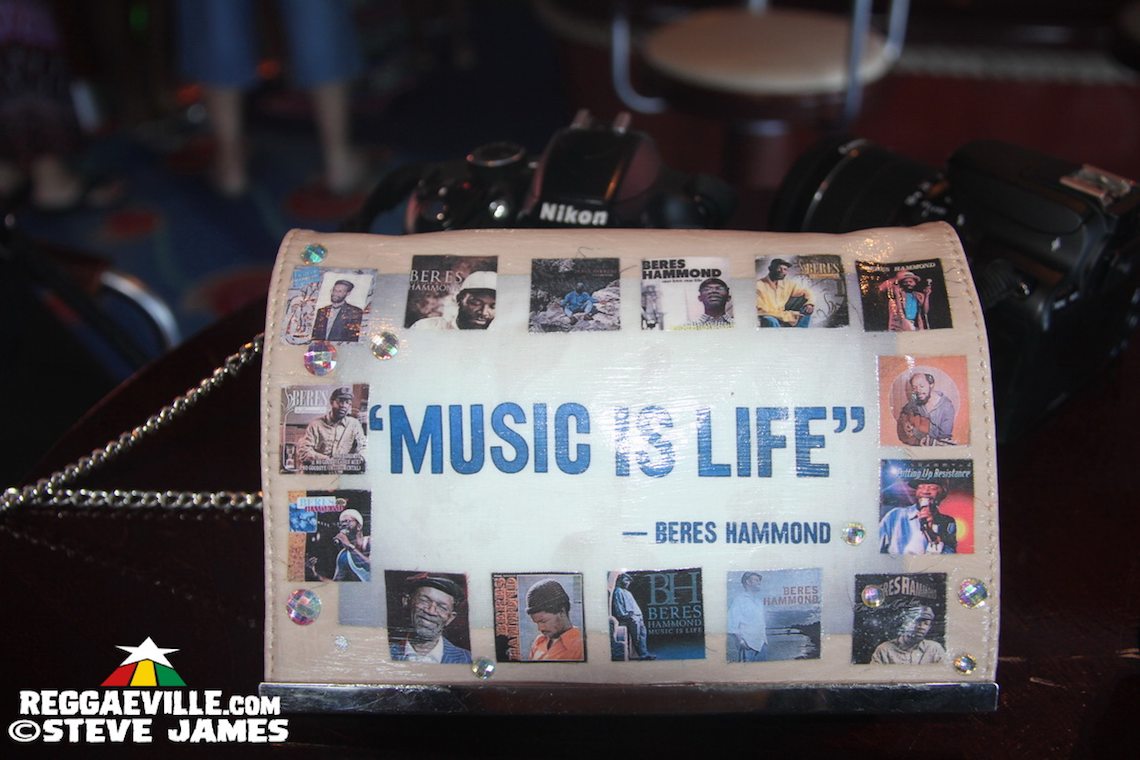 Vibes @ Love & Harmony Cruise 2017