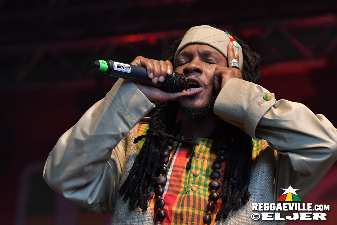 Nature Ellis & New Kingston