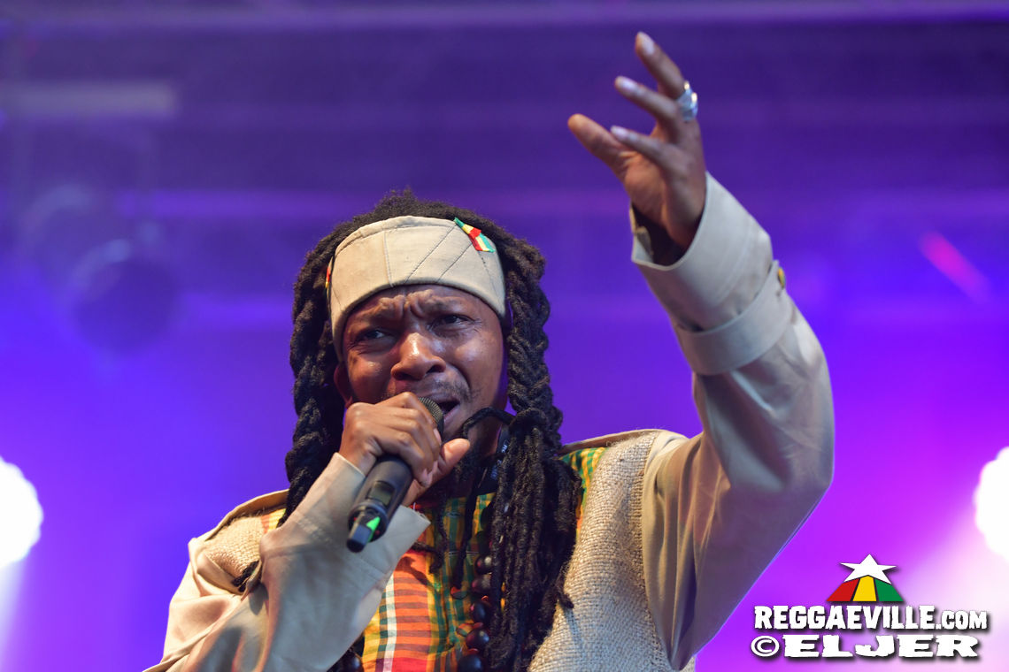 Nature Ellis & New Kingston