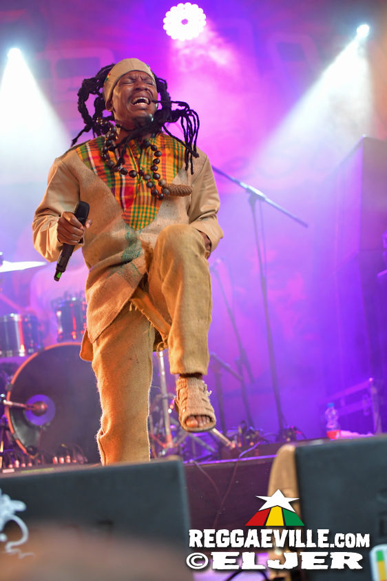 Nature Ellis & New Kingston