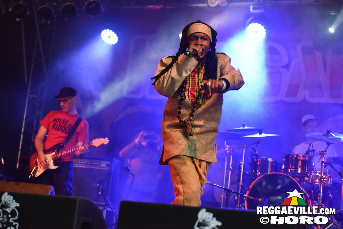 Nature Ellis & New Kingston