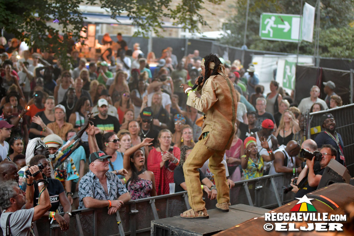 Nature Ellis & New Kingston