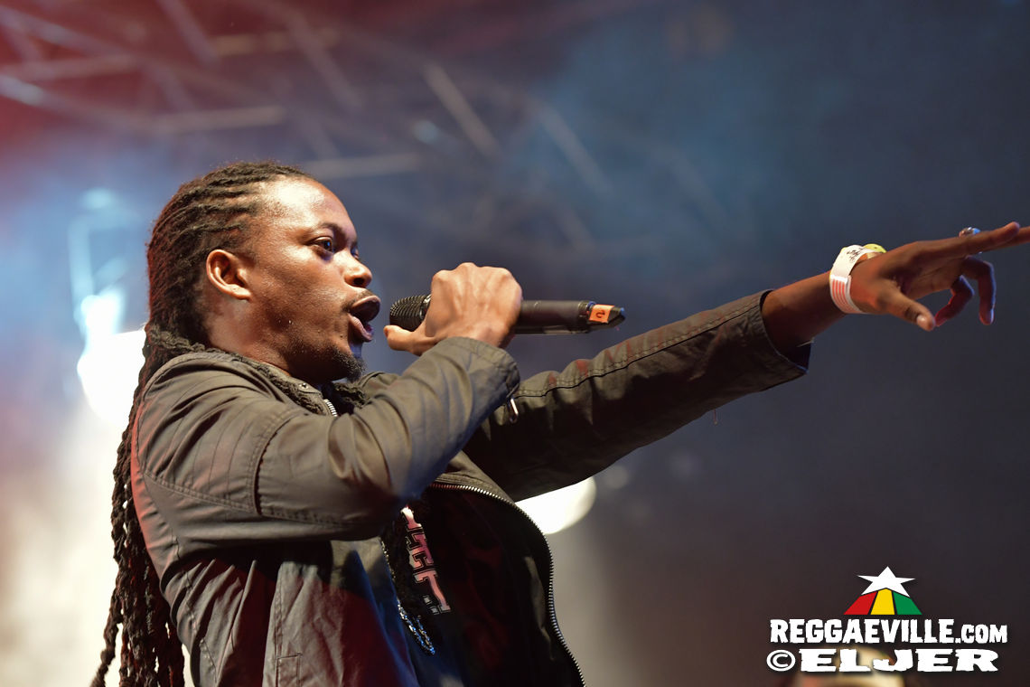 Nature Ellis & New Kingston