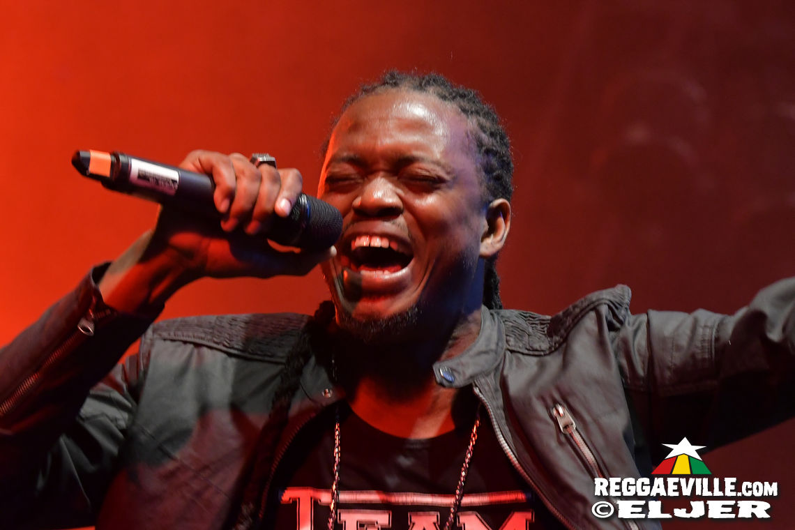 Nature Ellis & New Kingston