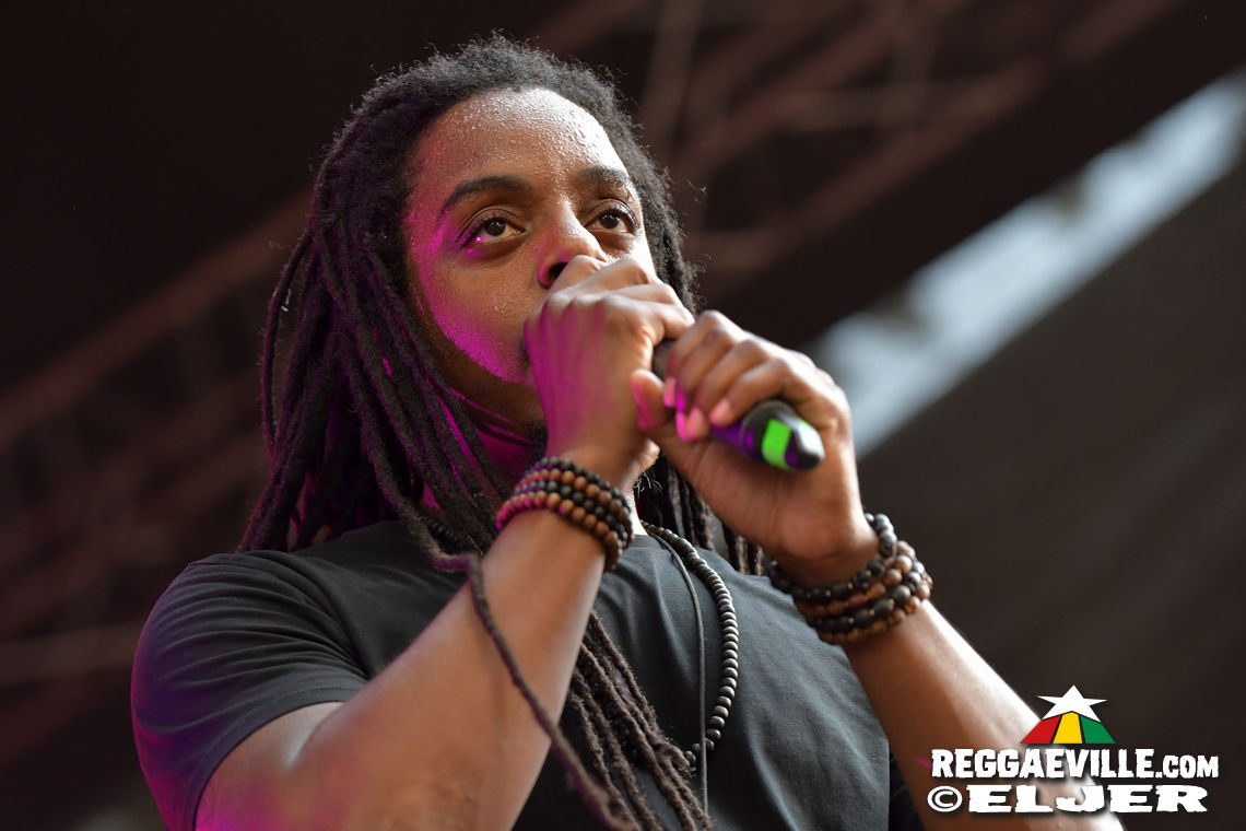 Nature Ellis & New Kingston