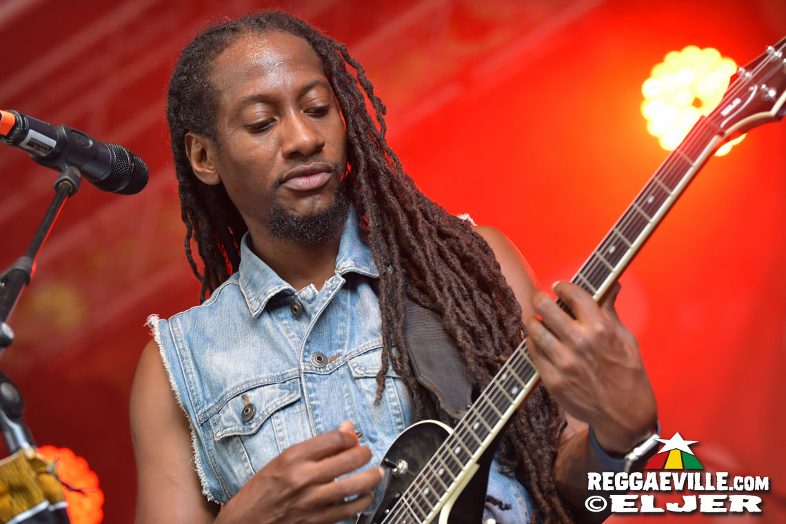 Nature Ellis & New Kingston