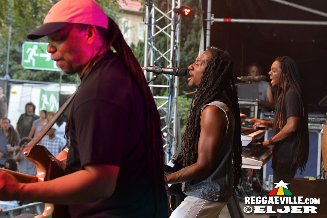 Nature Ellis & New Kingston