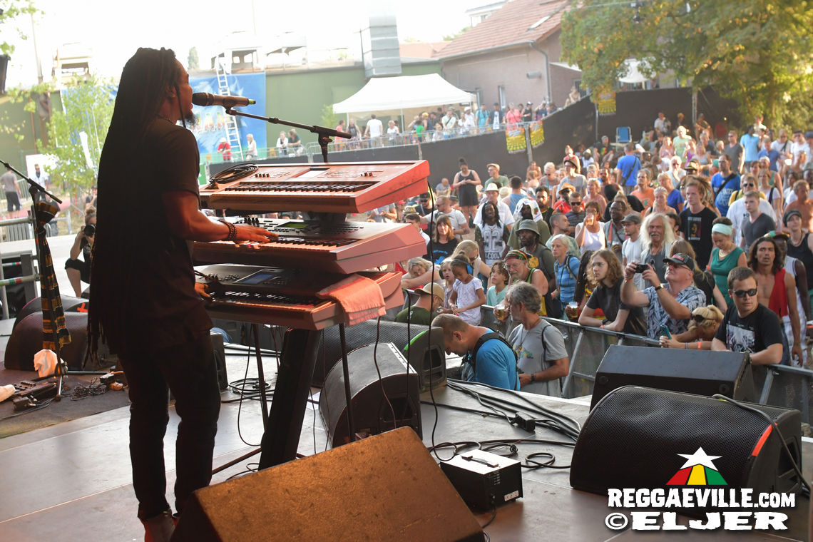 Nature Ellis & New Kingston