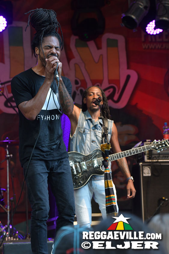 Nature Ellis & New Kingston